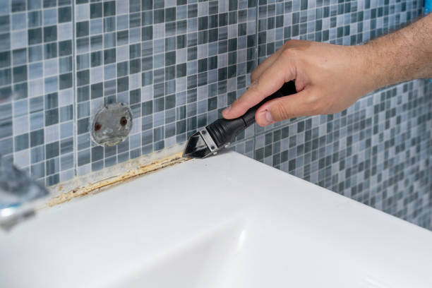 Best Mold Remediation for Specific Building Types in Iron River, MI