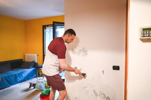 Best Preventive Mold Services in Iron River, MI
